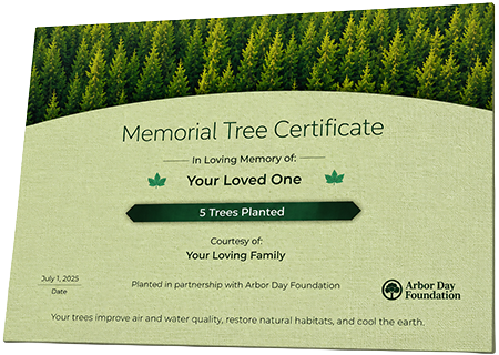 Plant Trees in Memory of Tariq Marshall